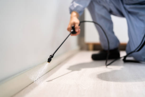 Licensed Termite Control service in Carson County County, TX - Nex Pest Control