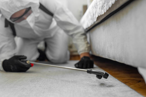 Professional Termite Control technician working in Carson County County, TX